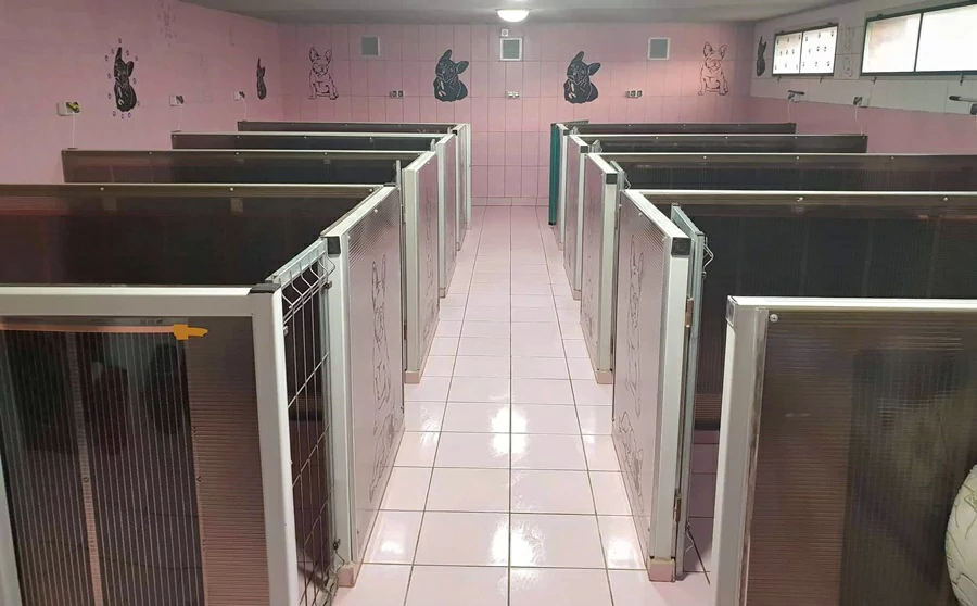 Zwinger für französische Welpen